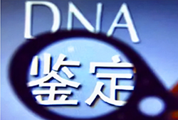 重庆哪家医院能办理亲子鉴定呢，重庆医院做DNA鉴定的流程