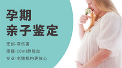 重庆怀孕了需要如何做DNA鉴定，重庆胎儿亲子鉴定基本的流程