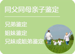 重庆同父同母亲缘鉴定